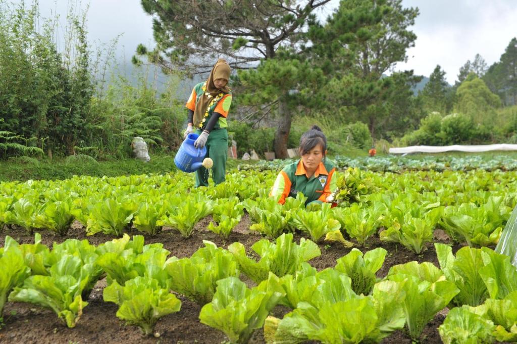 Taman Simalem Resort Tongging Екстериор снимка