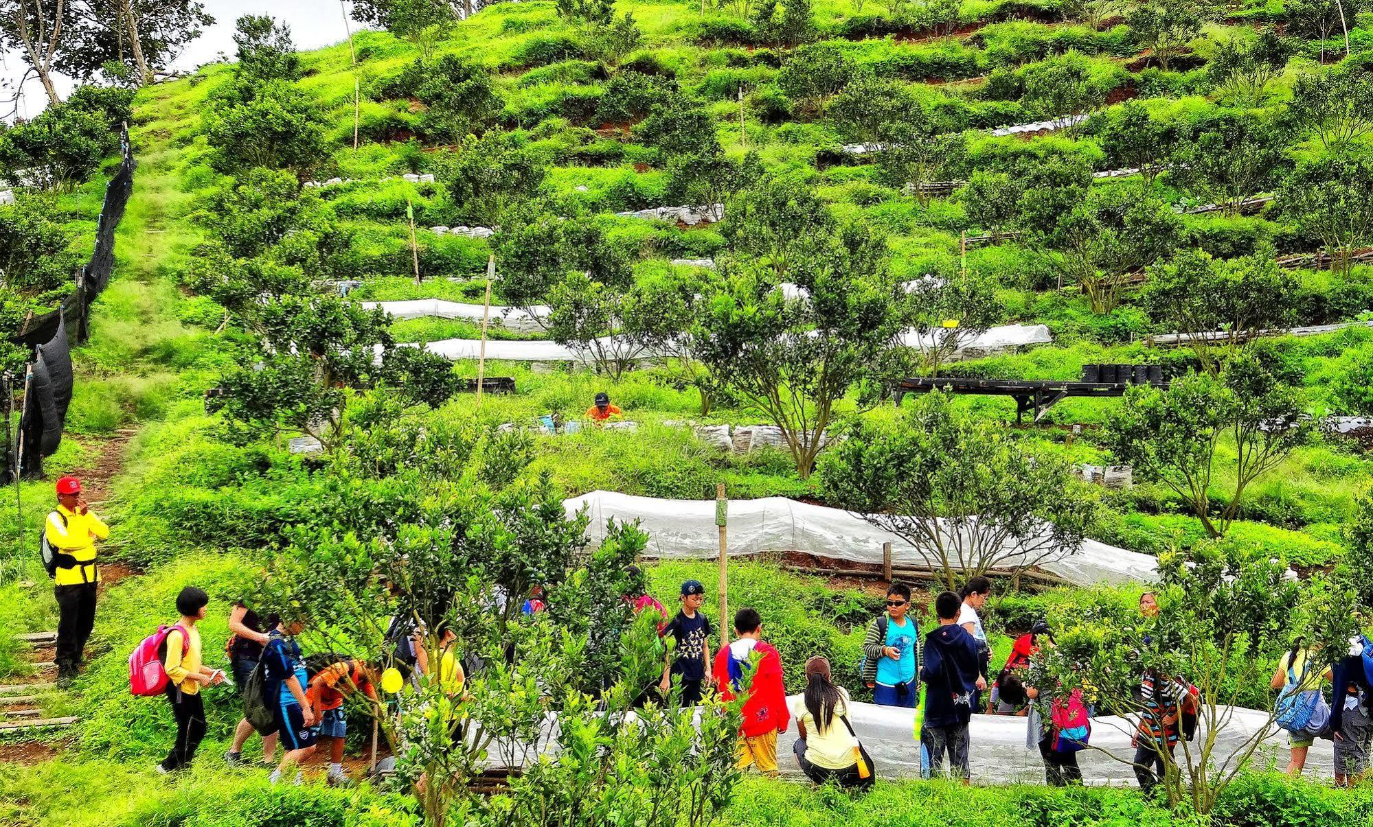 Taman Simalem Resort Tongging Екстериор снимка